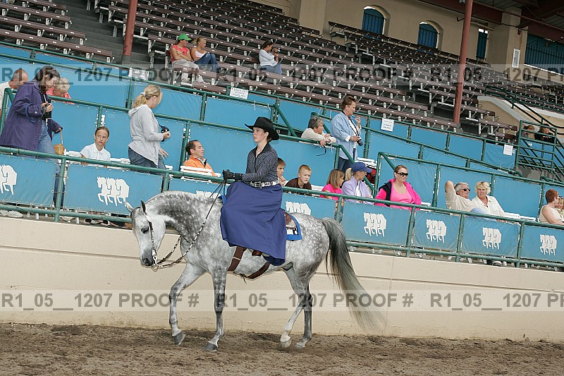 Proof r1_05__1207