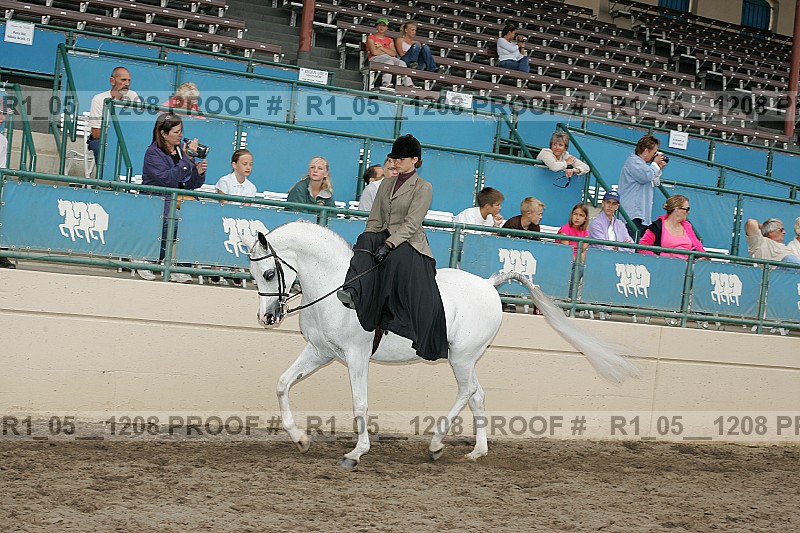 Proof r1_05__1208