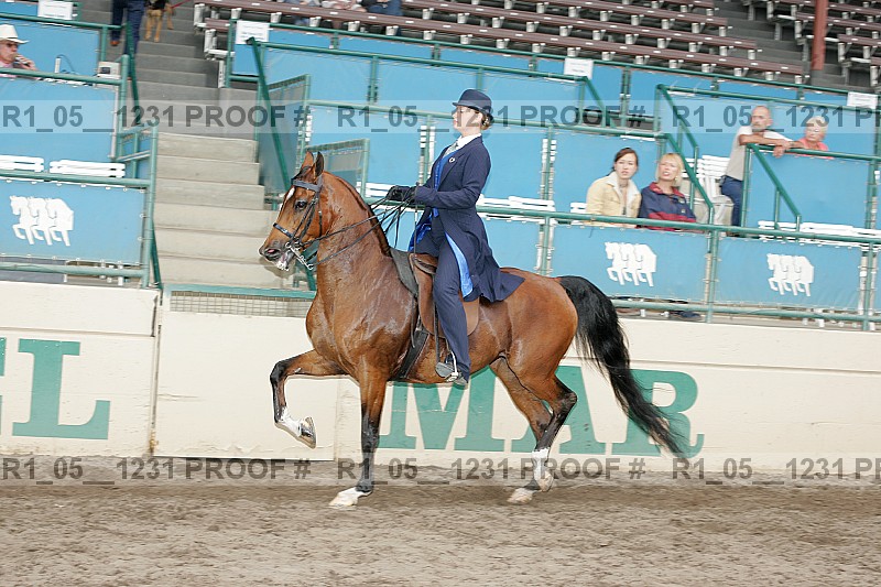 Proof r1_05__1231