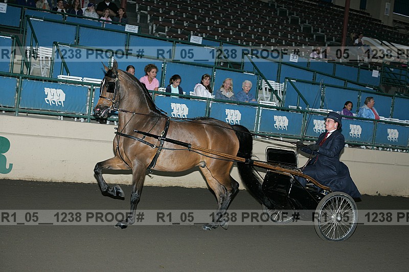 Proof r1_05__1238