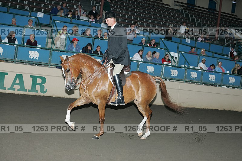 Proof r1_05__1263