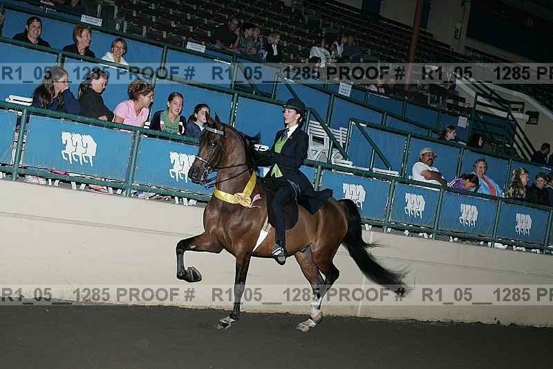 Proof r1_05__1285