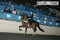 r1_05__1285 proof