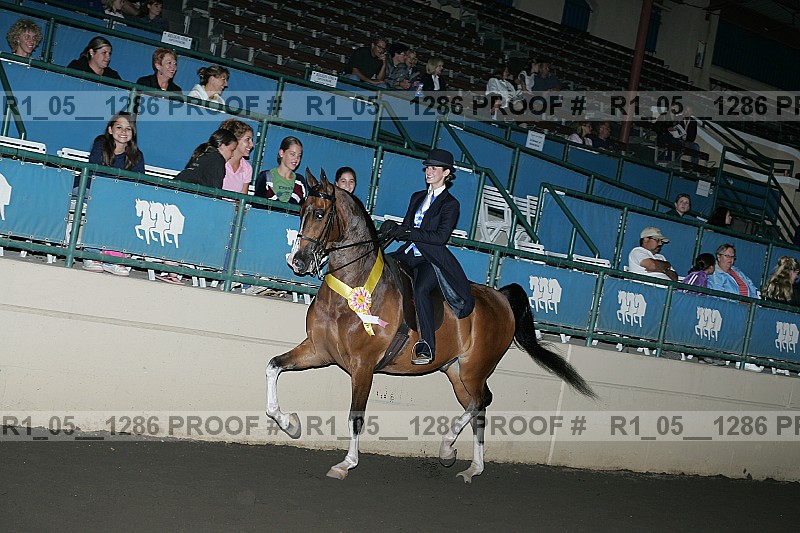 Proof r1_05__1286