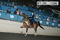 r1_05__1286 proof