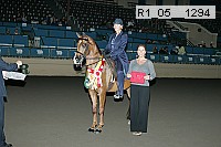 r1_05__1294 proof