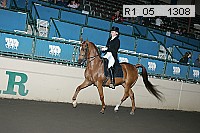 r1_05__1308 proof