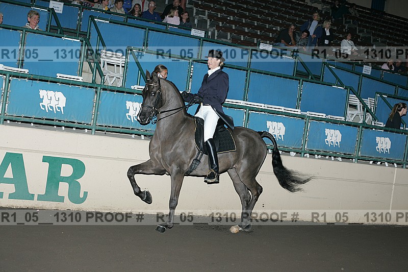 Proof r1_05__1310