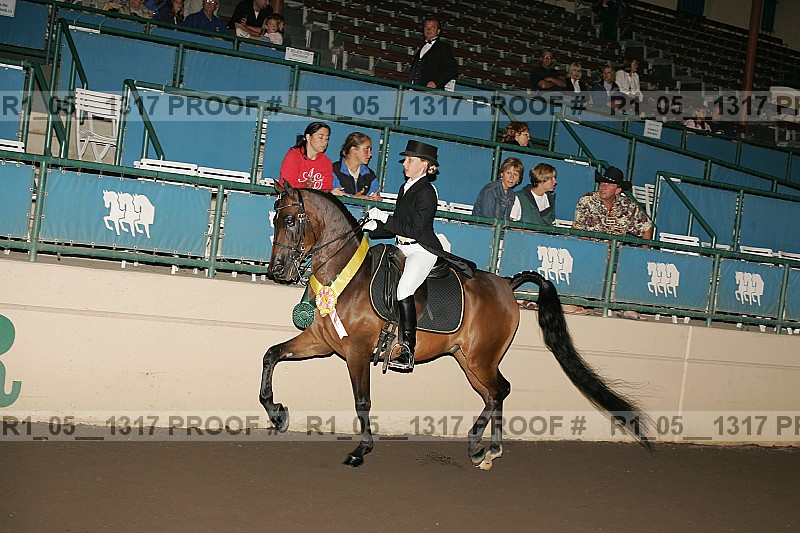 Proof r1_05__1317