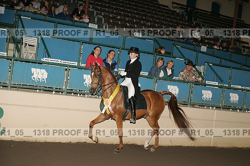 Proof r1_05__1318