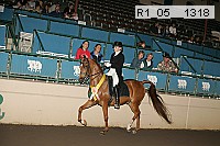 r1_05__1318 proof