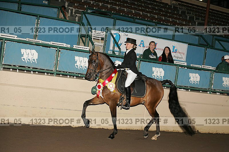 Proof r1_05__1323