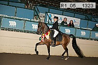 r1_05__1323 proof