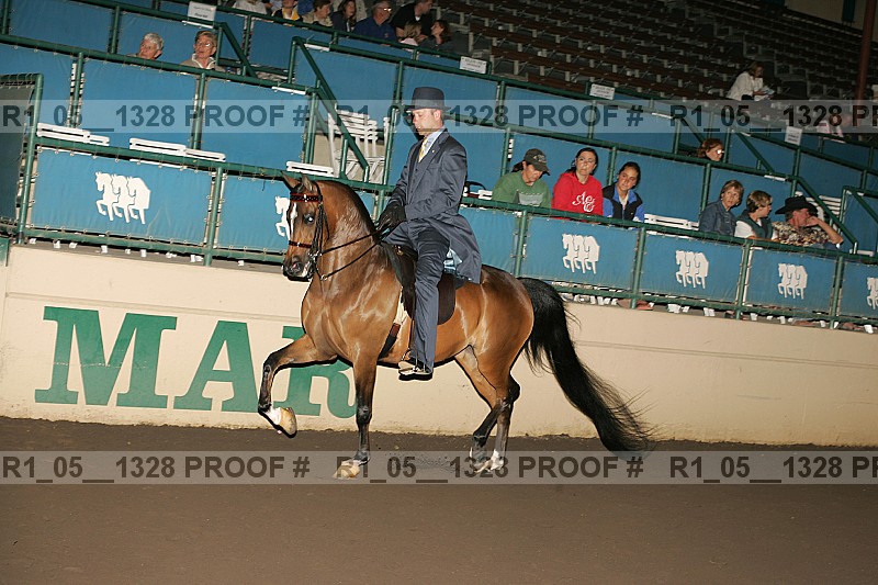 Proof r1_05__1328