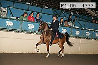 r1_05__1337 proof
