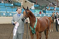 r1_05__1414 proof