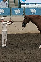 r1_05__9092 proof