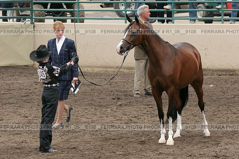 Proof r1_05__9108
