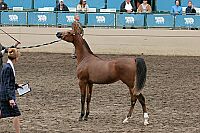 r1_05__9123 proof