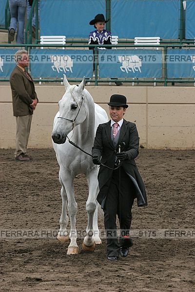 Proof r1_05__9175