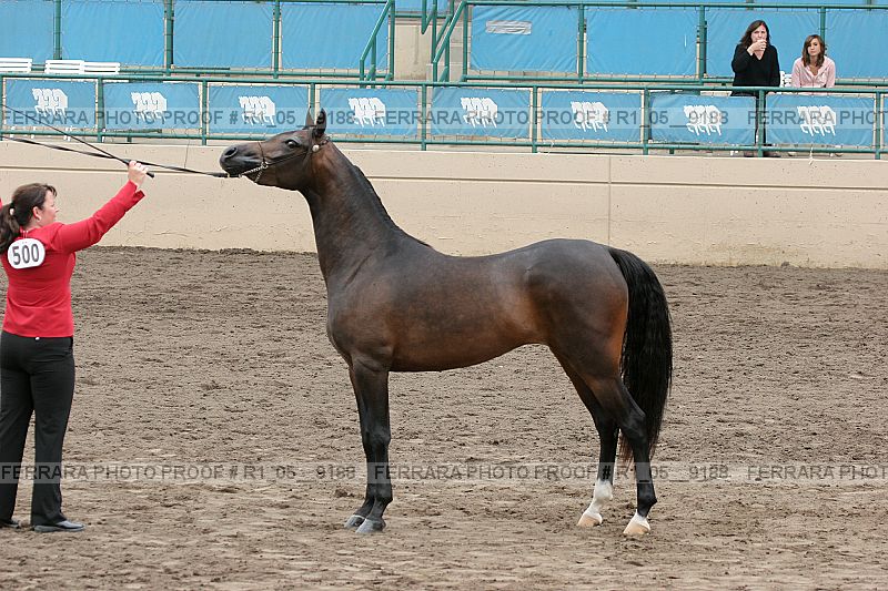Proof r1_05__9188