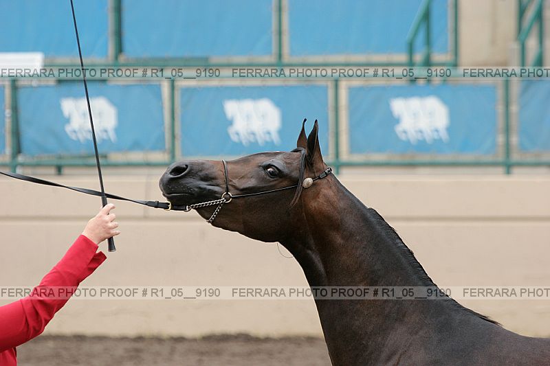 Proof r1_05__9190