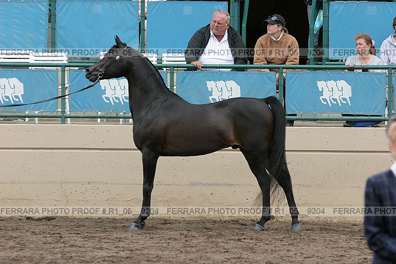 Proof r1_05__9204