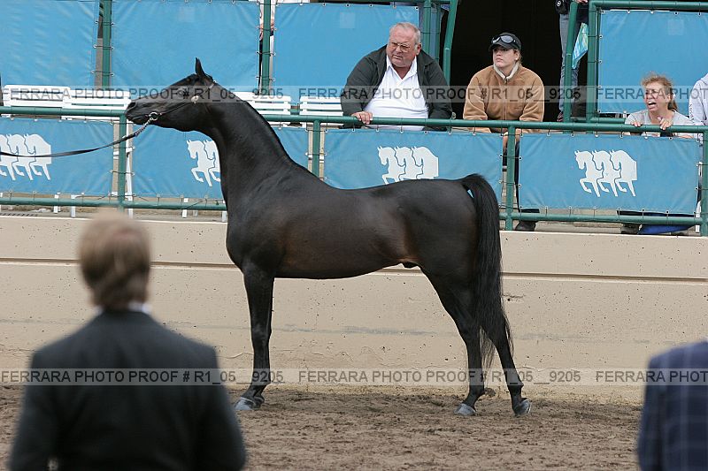 Proof r1_05__9205