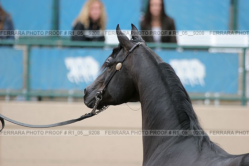 Proof r1_05__9208