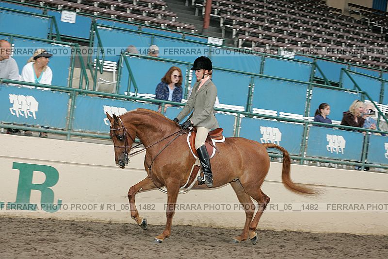 Proof r1_05__1482