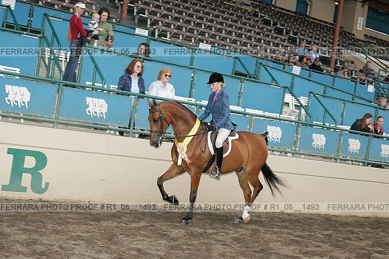 Proof r1_05__1493