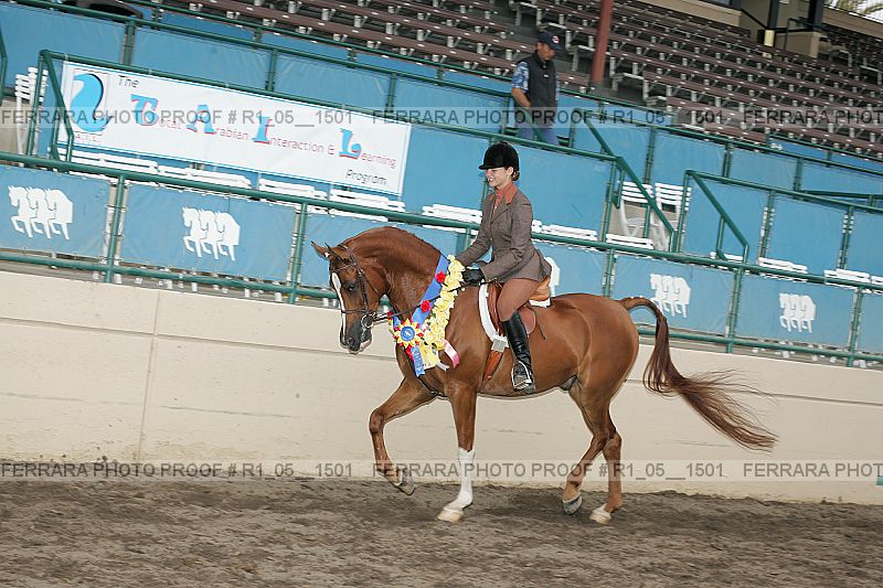 Proof r1_05__1501