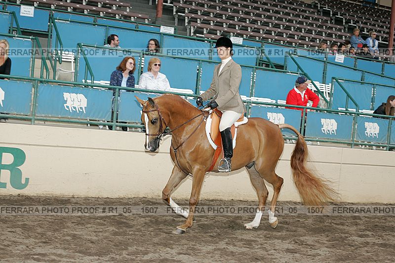 Proof r1_05__1507