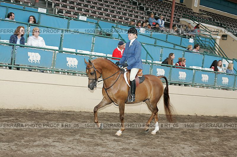 Proof r1_05__1508
