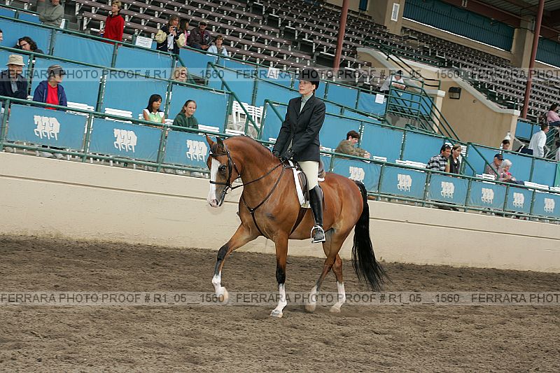 Proof r1_05__1560