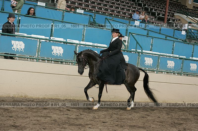 Proof r1_05__1601