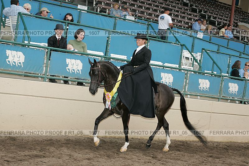 Proof r1_05__1607