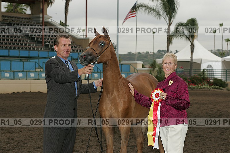 Proof r1_05__0291