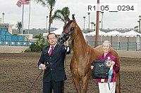 r1_05__0294 proof