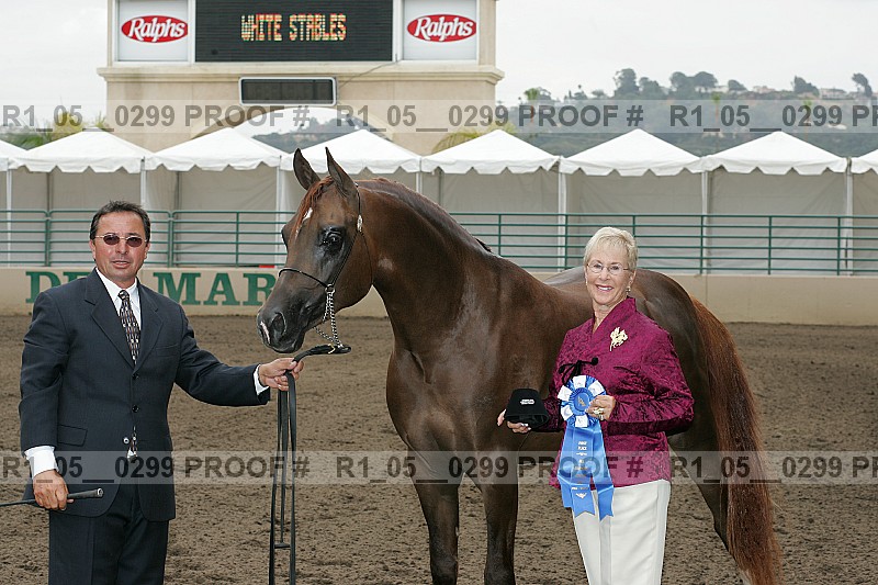 Proof r1_05__0299