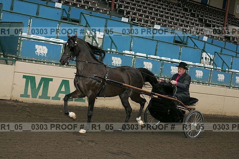 Proof r1_05__0303