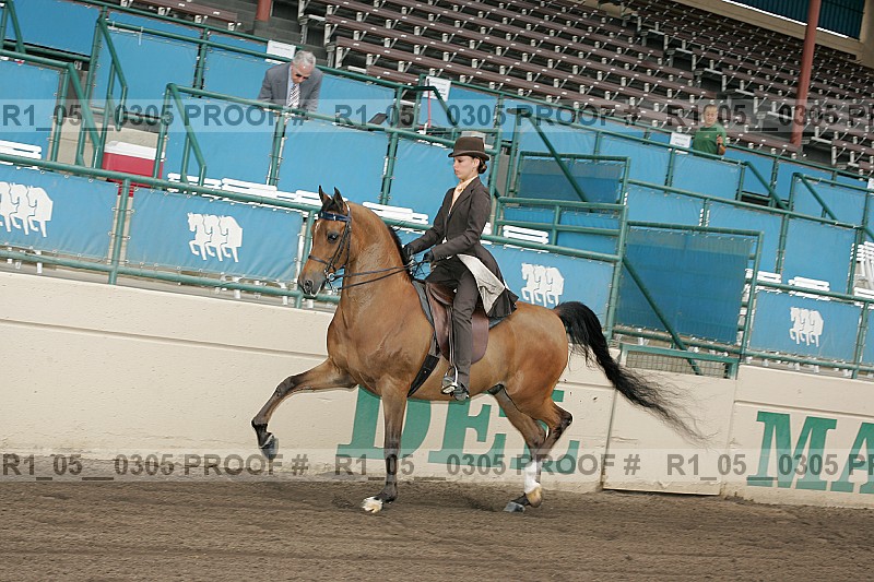 Proof r1_05__0305