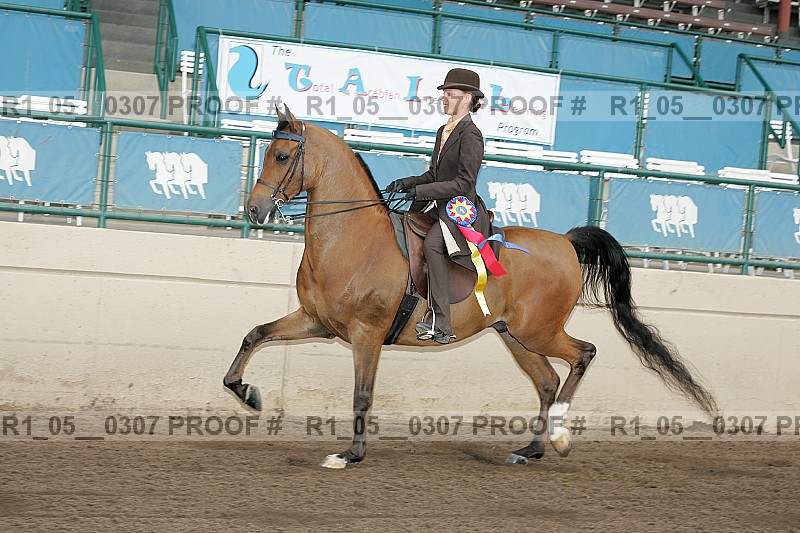 Proof r1_05__0307
