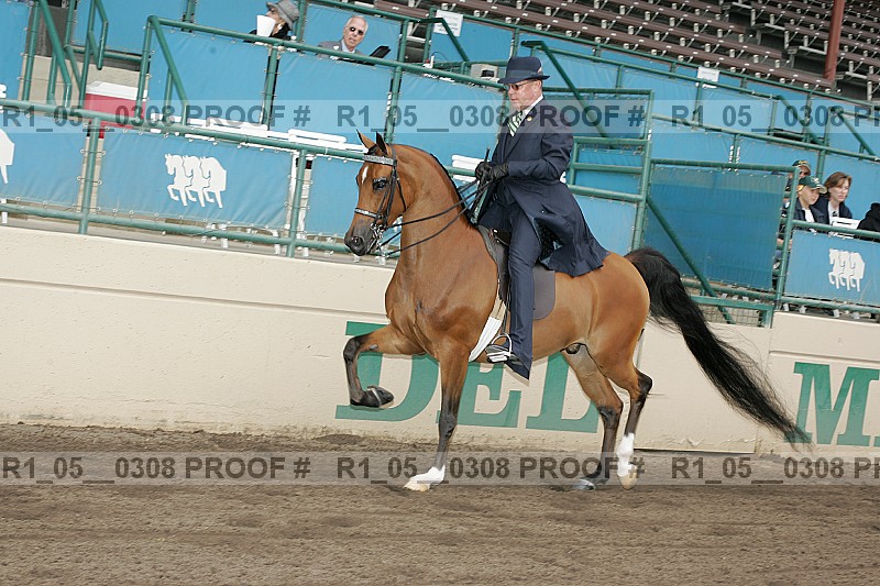Proof r1_05__0308