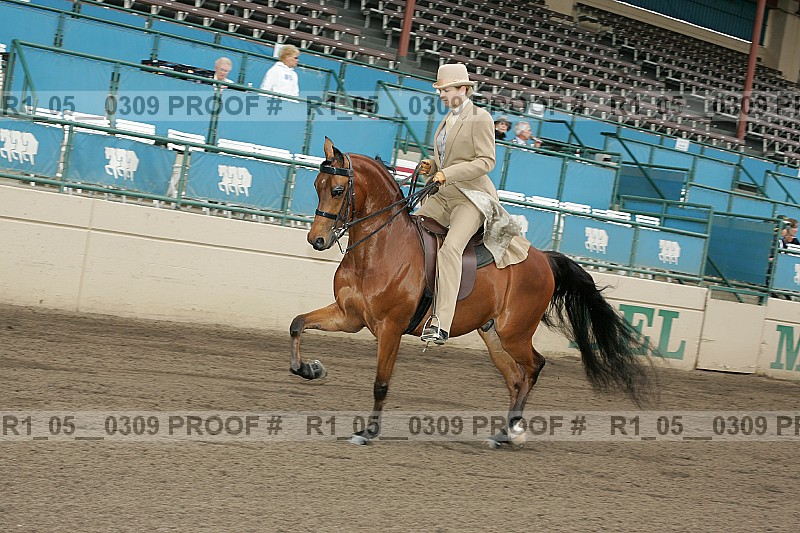 Proof r1_05__0309