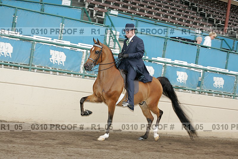 Proof r1_05__0310