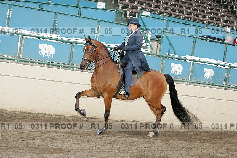 Proof r1_05__0311