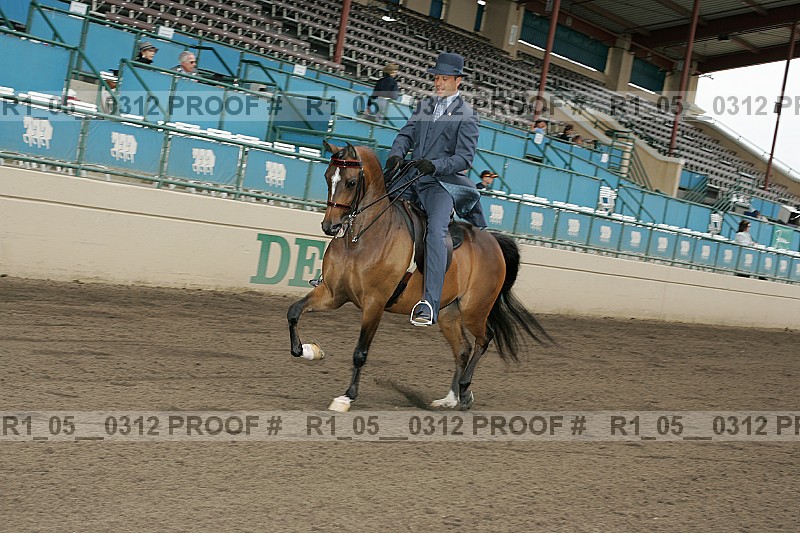 Proof r1_05__0312