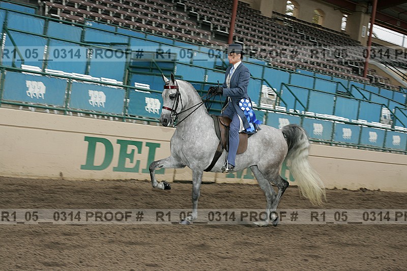 Proof r1_05__0314