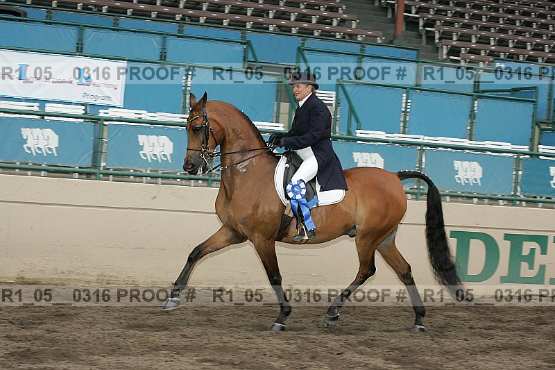 Proof r1_05__0316